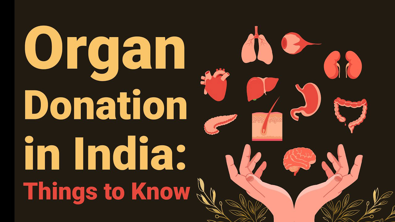 Gaming in the Age of AI: Strategies for Startups